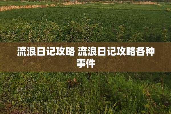 流浪日记攻略 流浪日记攻略各种事件