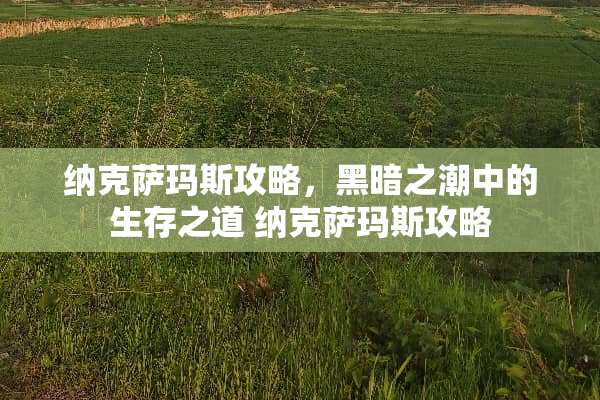 纳克萨玛斯攻略，黑暗之潮中的生存之道 纳克萨玛斯攻略
