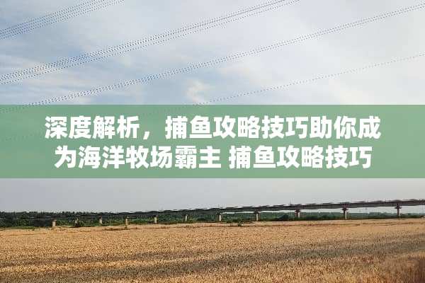 深度解析，捕鱼攻略技巧助你成为海洋牧场霸主 捕鱼攻略技巧