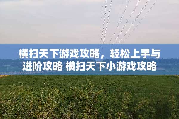 横扫天下游戏攻略，轻松上手与进阶攻略 横扫天下小游戏攻略