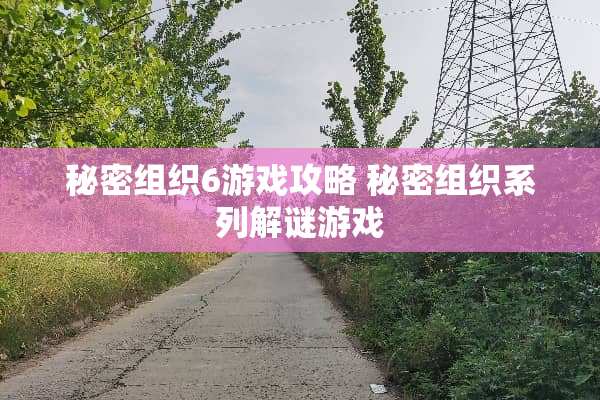 秘密组织6游戏攻略 秘密组织系列解谜游戏