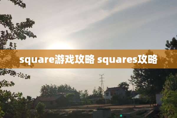 square游戏攻略 squares攻略