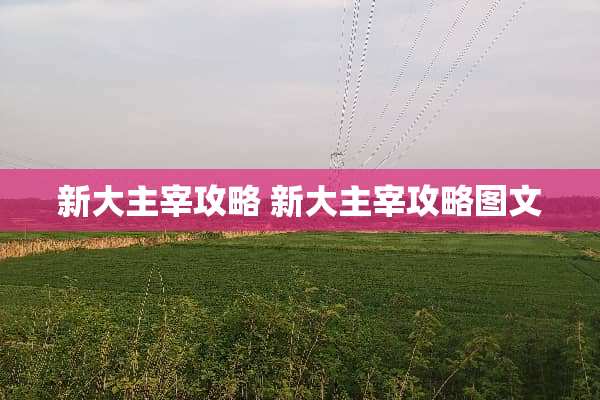 新大主宰攻略 新大主宰攻略图文