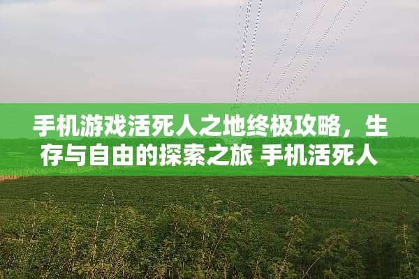 手机游戏活死人之地终极攻略，生存与自由的探索之旅 手机活死人之地游戏攻略