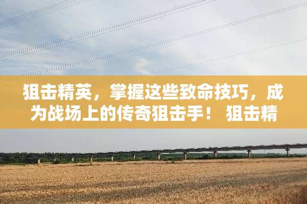 **精英，掌握这些致命技巧，成为战场上的传奇**手！ **精英游戏攻略