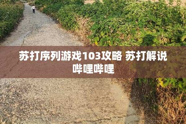 苏打序列游戏103攻略 苏打解说哔哩哔哩