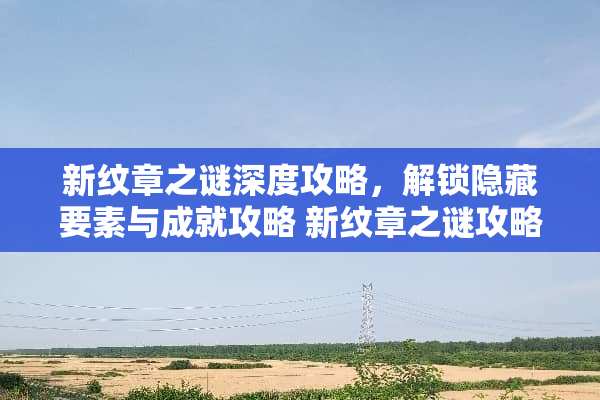 新纹章之谜深度攻略，解锁隐藏要素与成就攻略 新纹章之谜攻略