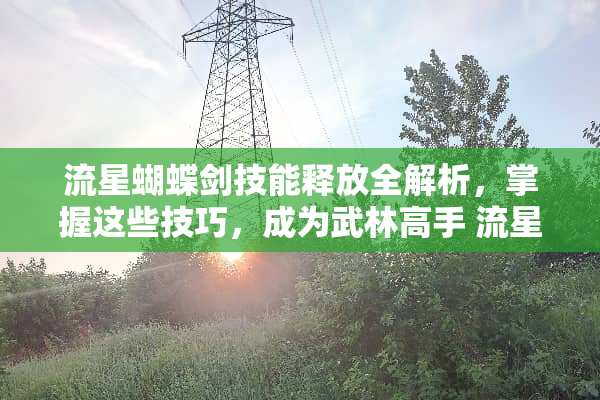 流星蝴蝶剑技能释放全解析，掌握这些技巧，成为武林高手 流星蝴蝶剑怎么放技能