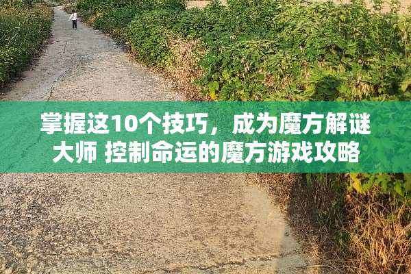 掌握这10个技巧，成为魔方解谜大师 控制命运的魔方游戏攻略
