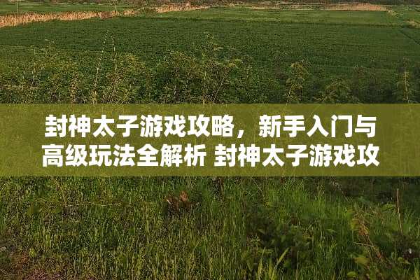 封神太子游戏攻略，新手入门与高级玩法全解析 封神太子游戏攻略