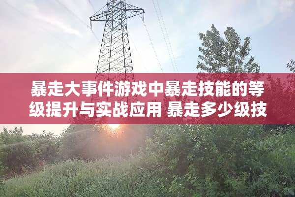 暴走大事件游戏中暴走技能的等级提升与实战应用 暴走多少级技能