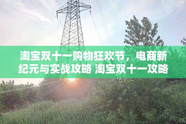 淘宝双十一购物狂欢节，电商新纪元与实战攻略 淘宝双十一攻略