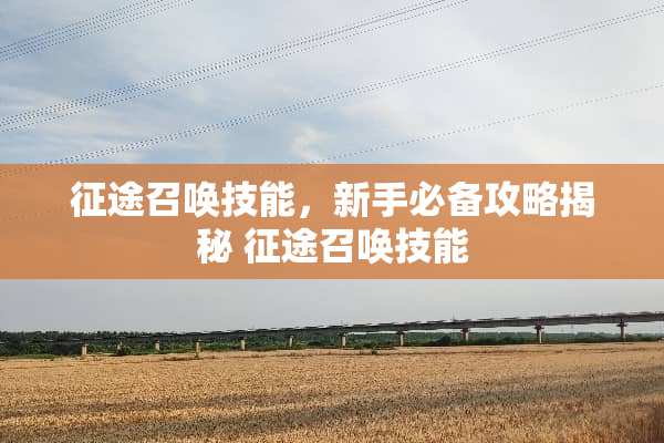 **召唤技能，新手必备攻略揭秘 **召唤技能