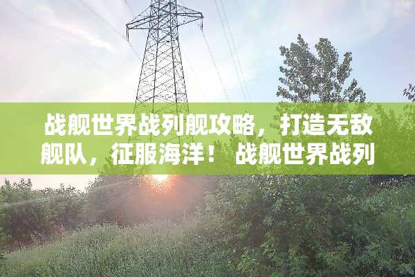战舰世界战列舰攻略，打造无敌舰队，征服海洋！ 战舰世界战列舰攻略