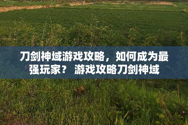 刀剑神域游戏攻略，如何成为最强玩家？ 游戏攻略刀剑神域