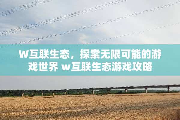 W互联生态，探索无限可能的游戏世界 w互联生态游戏攻略