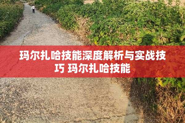 玛尔扎哈技能深度解析与实战技巧 玛尔扎哈技能