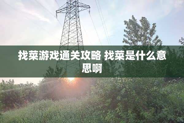找菜游戏通关攻略 找菜是什么意思啊
