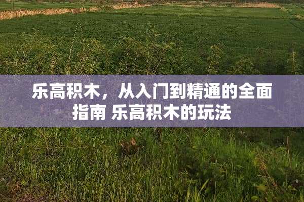 乐高积木，从入门到精通的全面指南 乐高积木的玩法