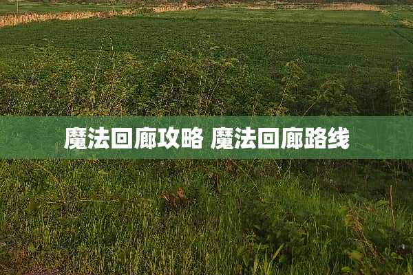 魔法回廊攻略 魔法回廊路线