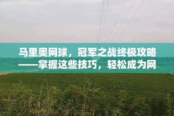 马里奥网球，冠军之战终极攻略——掌握这些技巧，轻松成为网球高手！ 马里奥网球攻略