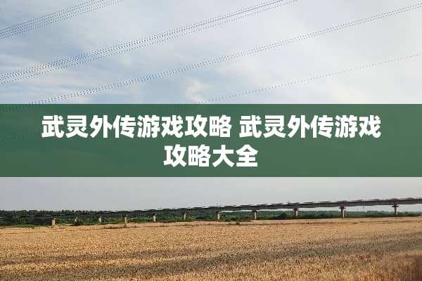 武灵外传游戏攻略 武灵外传游戏攻略大全