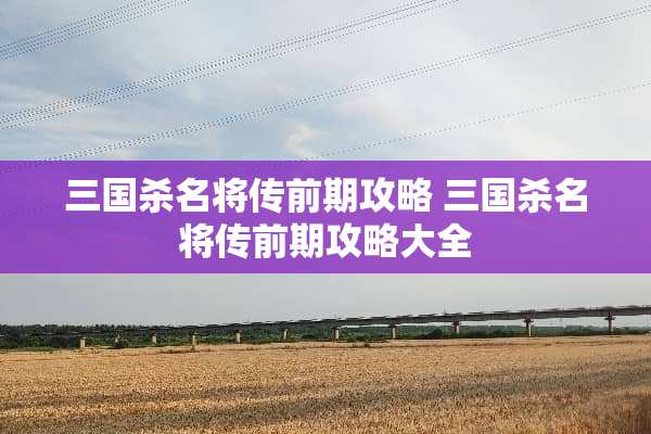 三国杀名将传前期攻略 三国杀名将传前期攻略大全