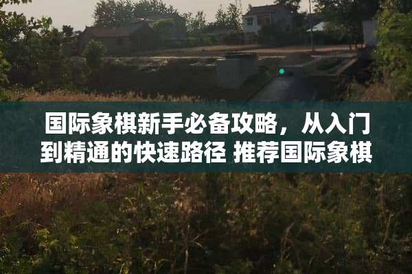国际象棋新手必备攻略，从入门到精通的快速路径 推荐国际象棋游戏攻略