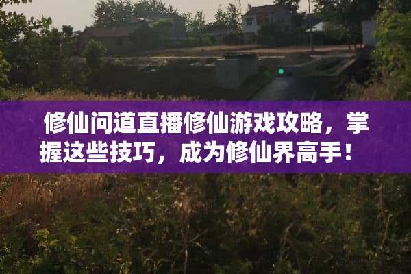 修仙问道直播修仙游戏攻略，掌握这些技巧，成为修仙界高手！ 直播修仙游戏攻略