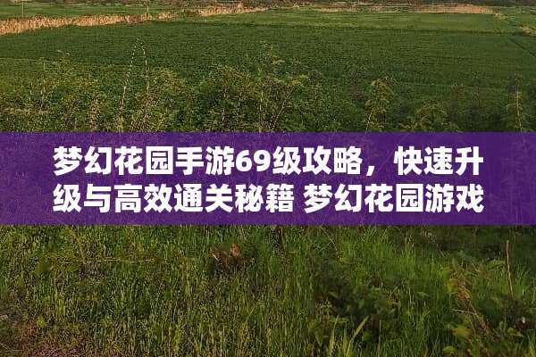梦幻花园手游69级攻略，快速升级与高效通关秘籍 梦幻花园游戏69攻略