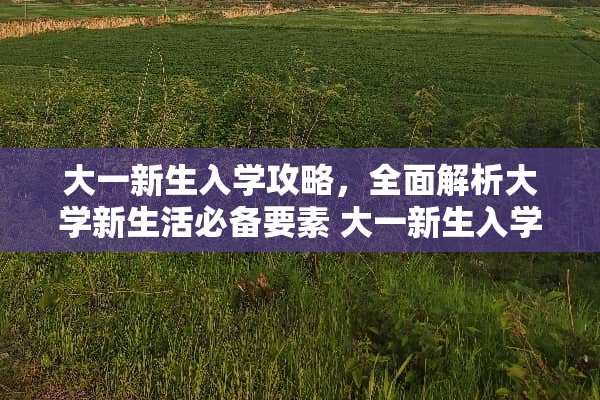 大一新生入学攻略，全面解析大学新生活必备要素 大一新生入学攻略