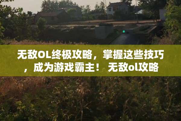 无敌OL终极攻略，掌握这些技巧，成为游戏霸主！ 无敌ol攻略