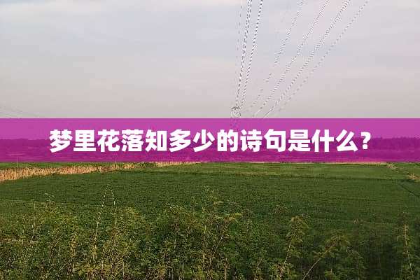 梦里花落知多少的诗句是什么？