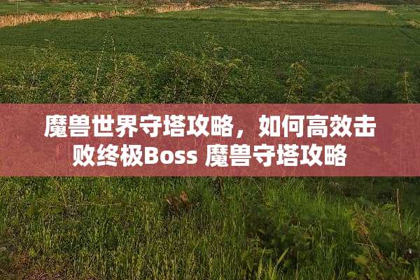 魔兽世界守塔攻略，如何高效击败终极Boss 魔兽守塔攻略