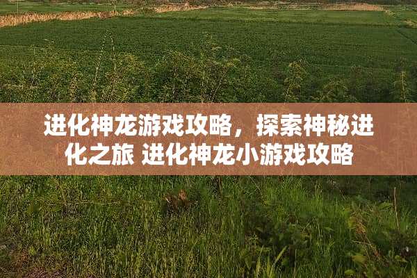 进化神龙游戏攻略，探索神秘进化之旅 进化神龙小游戏攻略