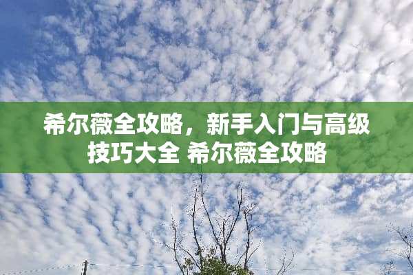 希尔薇全攻略，新手入门与高级技巧大全 希尔薇全攻略