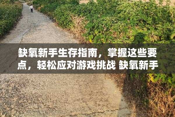 缺氧新手生存指南，掌握这些要点，轻松应对游戏挑战 缺氧新手攻略