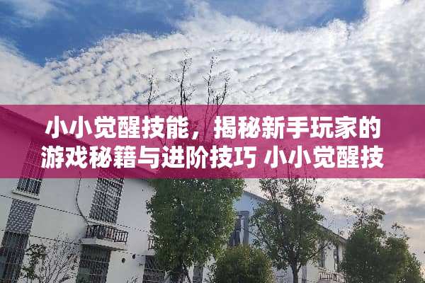 小小觉醒技能，揭秘新手玩家的游戏秘籍与进阶技巧 小小觉醒技能