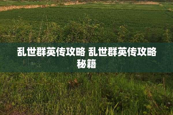 乱世群英传攻略 乱世群英传攻略秘籍