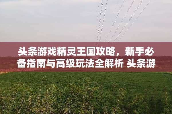 头条游戏精灵王国攻略，新手必备指南与高级玩法全解析 头条游戏精灵王国攻略