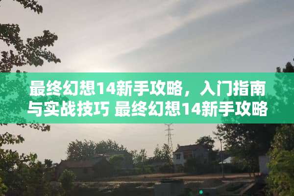 最终幻想14新手攻略，入门指南与实战技巧 最终幻想14新手攻略