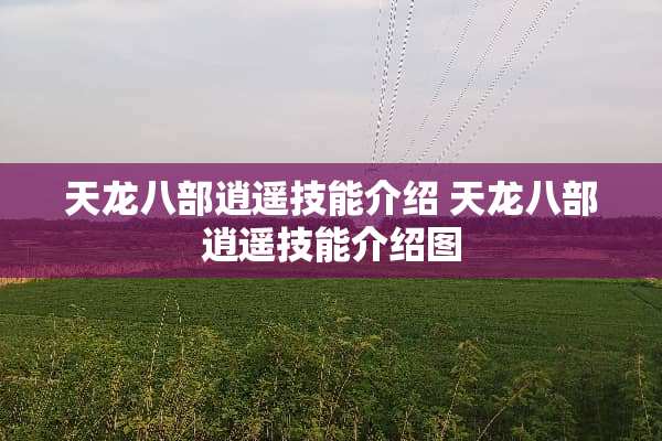天龙八部逍遥技能介绍 天龙八部逍遥技能介绍图