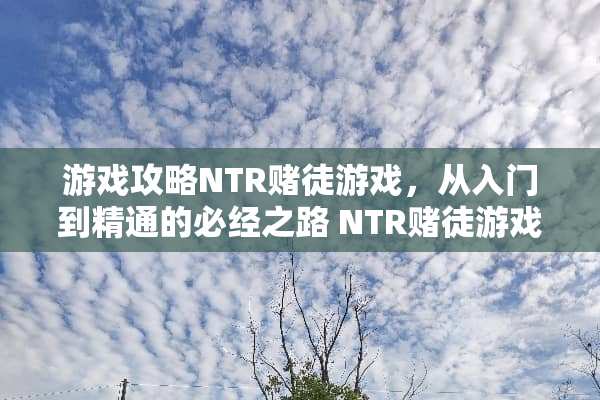 游戏攻略NTR赌徒游戏，从入门到精通的必经之路 NTR赌徒游戏攻略毒