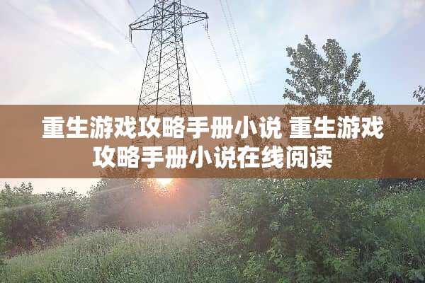 重生游戏攻略手册小说 重生游戏攻略手册小说在线阅读