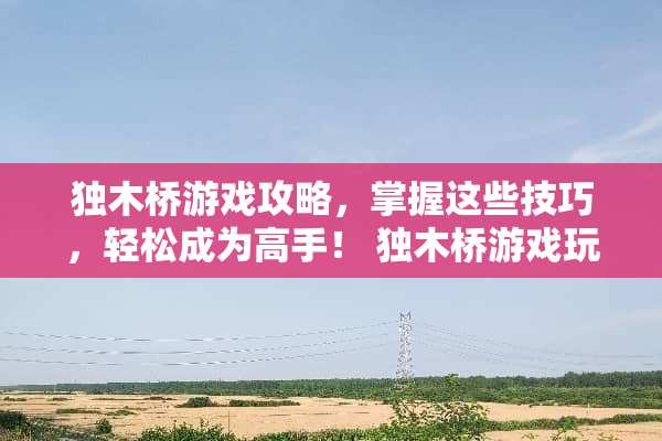 独木桥游戏攻略，掌握这些技巧，轻松成为高手！ 独木桥游戏玩法