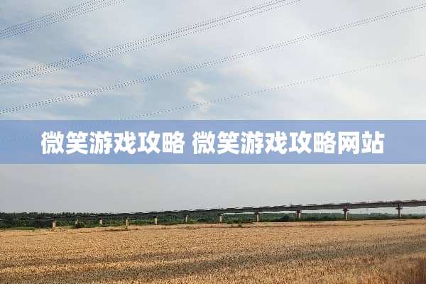 微笑游戏攻略 微笑游戏攻略网站