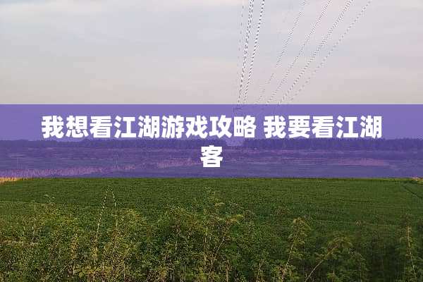 我想看江湖游戏攻略 我要看江湖客