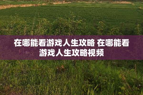 在哪能看游戏人生攻略 在哪能看游戏人生攻略视频