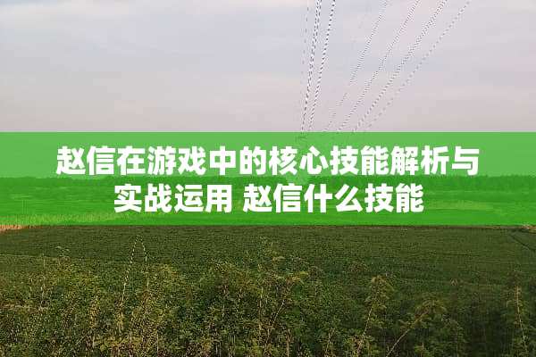 赵信在游戏中的核心技能解析与实战运用 赵信什么技能