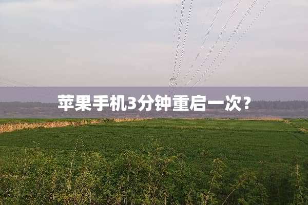 苹果手机3分钟重启一次？